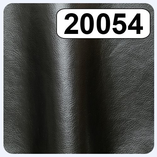 20054